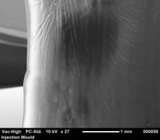 scanning electron micrograph 