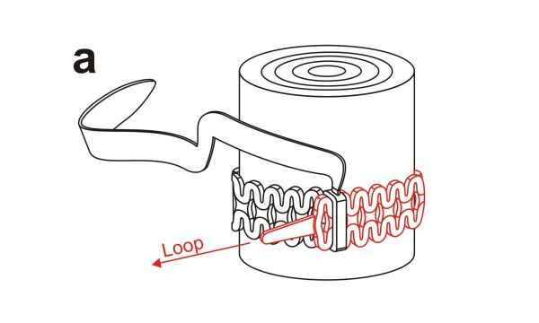 forming a loop with the cellular strap forming a loop with the cellular strap