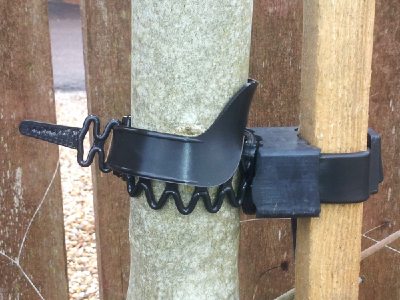 self-releasing tree tie - installed self-releasing tree tie - installed